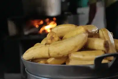 Ecotonos y memorias culinarias: cocina y territorio en Urabá