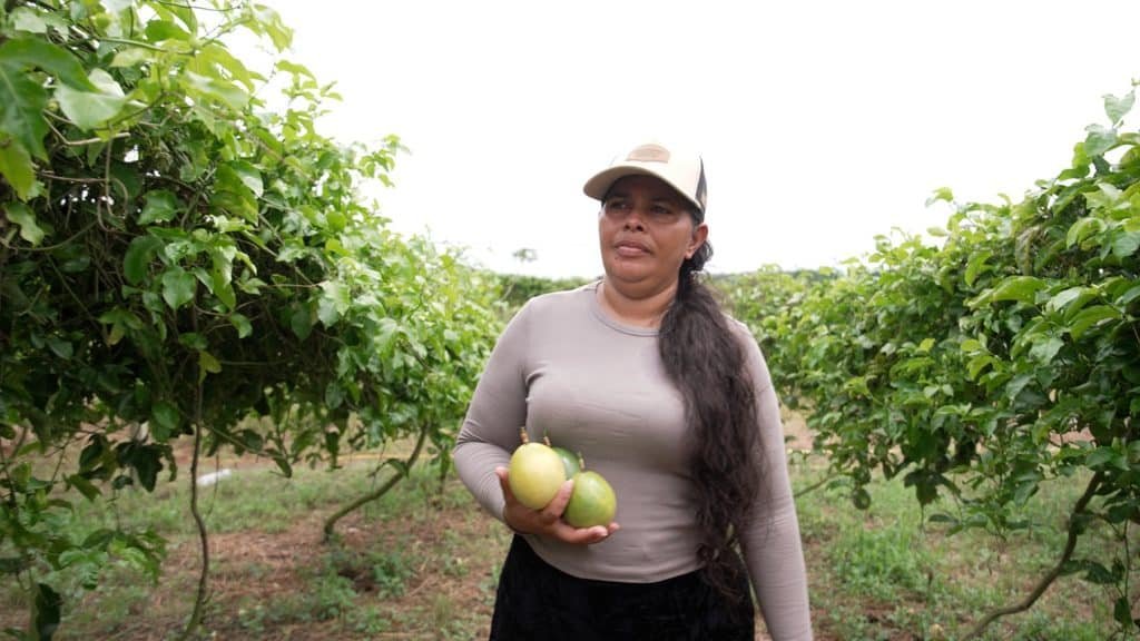 Mujeres rurales impulsan la economía de Colombia: el ejemplo de una empresaria de Chigorodó Mujeres rurales del campo colombiano y su aporte económico