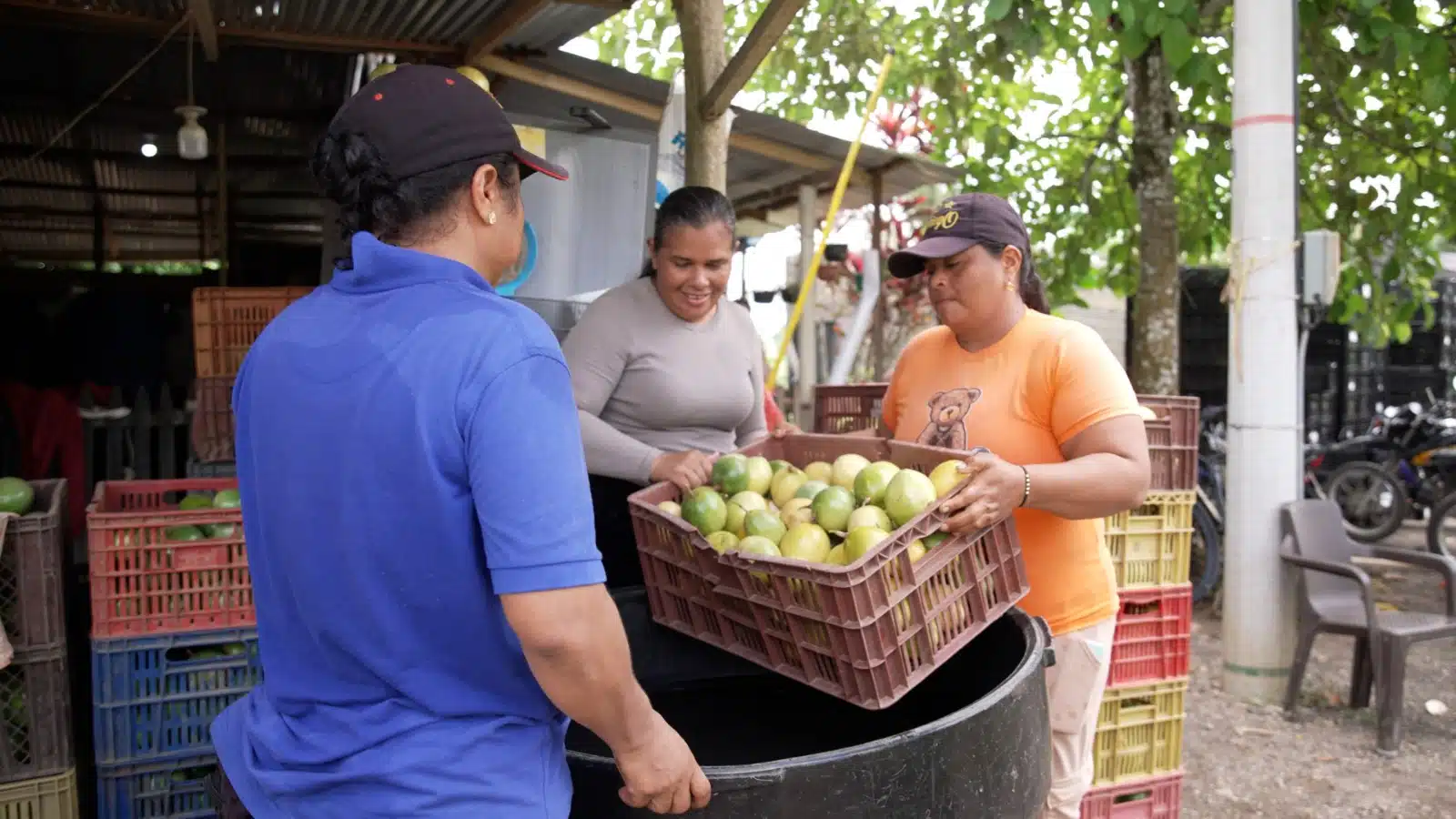 Mujeres rurales y empresaria de Chigorodó, Urabá